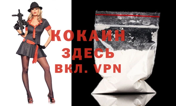 шишки Осташков