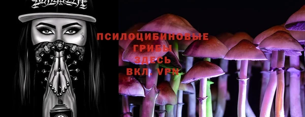 шишки Осташков