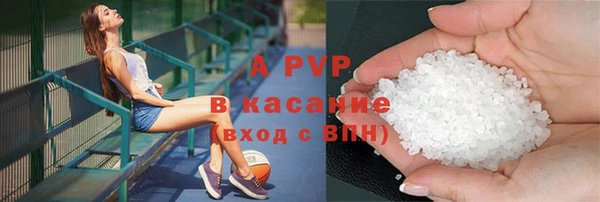 шишки Осташков
