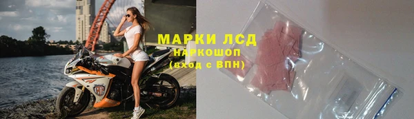 стафф Осинники