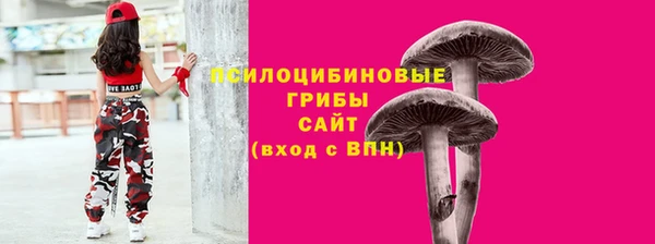 тгк Пересвет