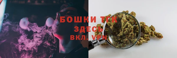 PSILOCYBIN Заволжье