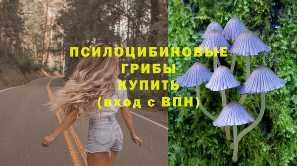 прущие крисы Зеленокумск