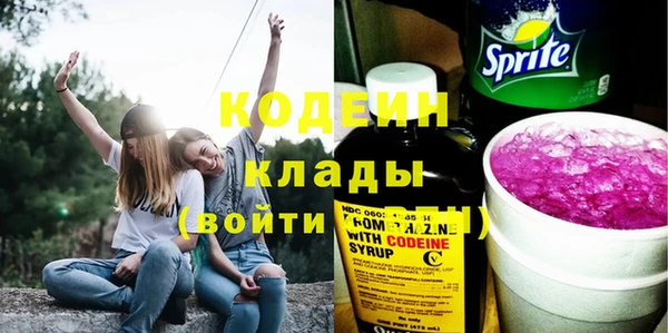шишки Осташков