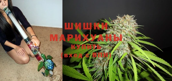стафф Осинники