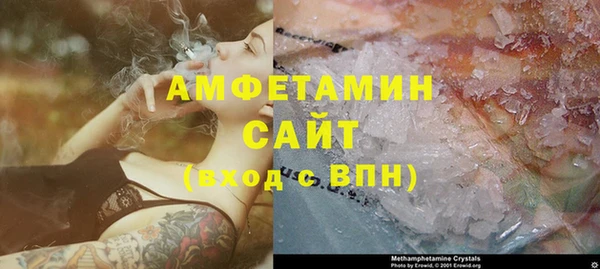 шишки Осташков