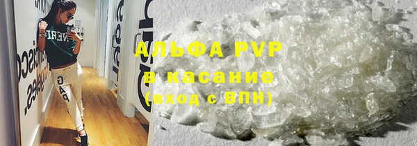 стафф Осинники