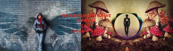шишки Осташков