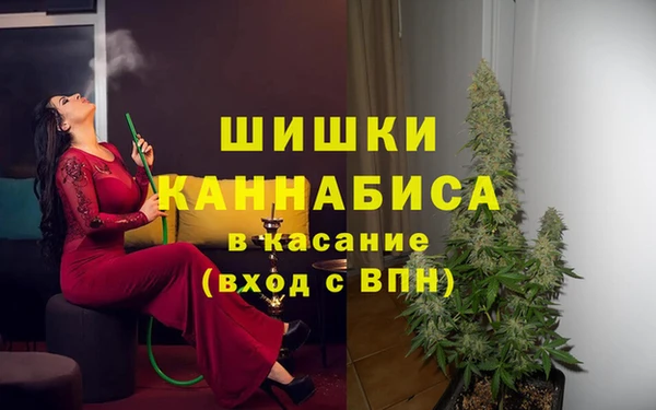 шишки Осташков