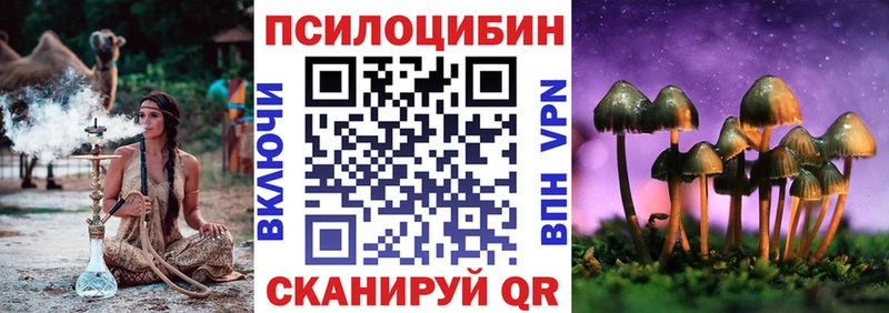 дарк нет Telegram  Боготол  Галлюциногенные грибы Magic Shrooms  как найти  